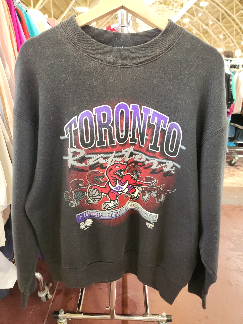 Vintage 90s Toronto Raptors Graphic Crewneck On That Fruit Of The Loom Tag